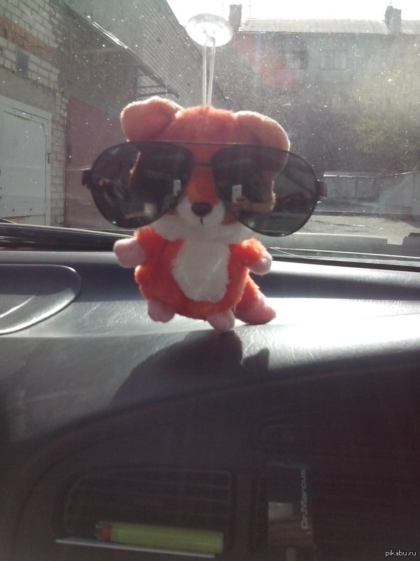 Вот такой вот мягкий друг ездит со мной в машине!