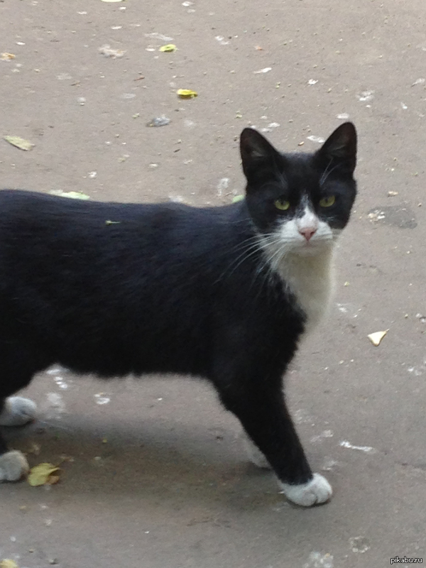 ������ ��� ������, ��������� ������.