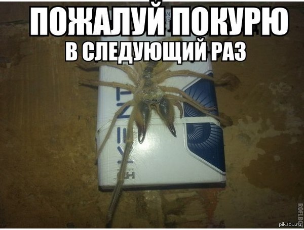 �����������)