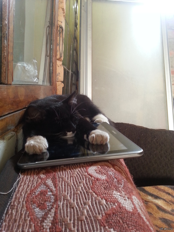 ����� ��� �����