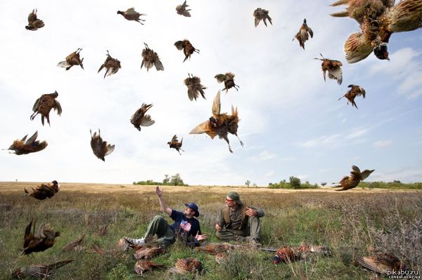 а есть охотники на пикабу?