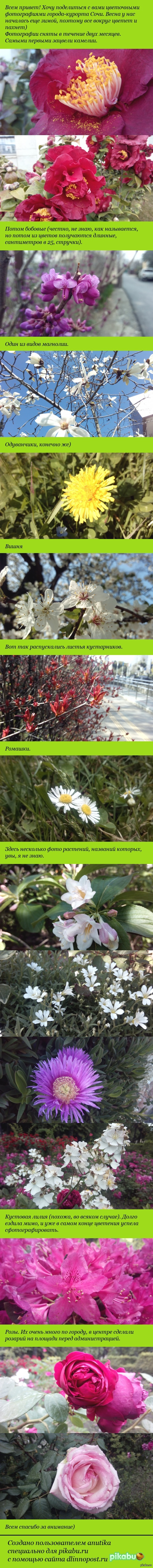 ��� ����� ����� � ����