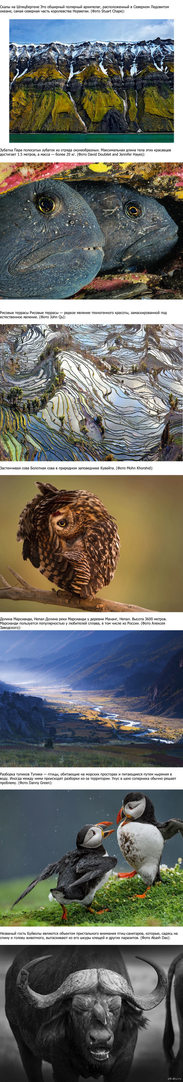 Лучшие фотографии мая 2014-го от журнала National Geographic