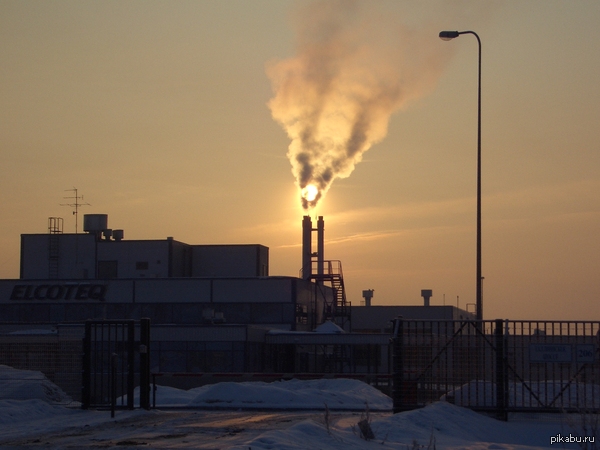 "����������" �����