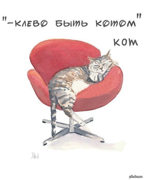 Клева быть котом )