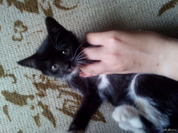 ������! ����� ������� � ������ ����!! ������!!