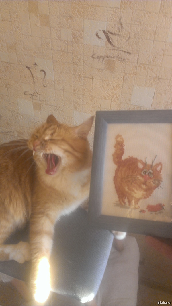 Так отреагировал мой кот, когда я сказал что это его портрет