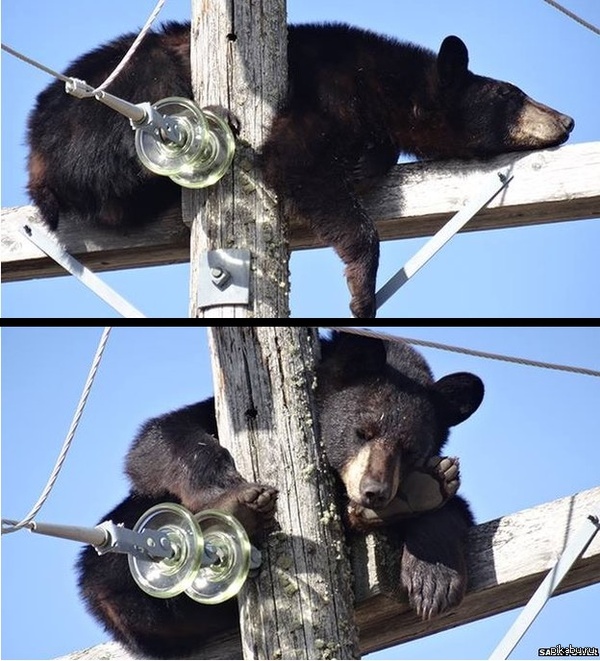 Удобно, наверное)