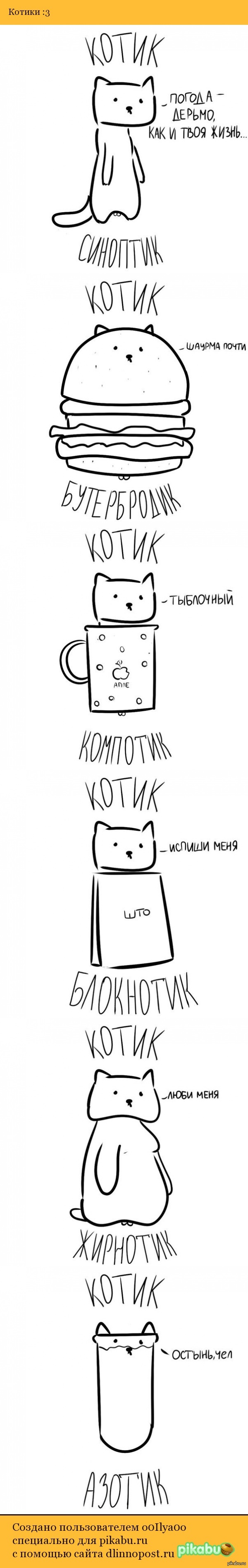 Подборка котиков :3