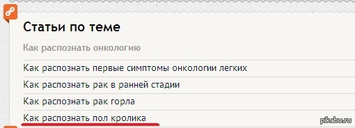 Статьи по теме