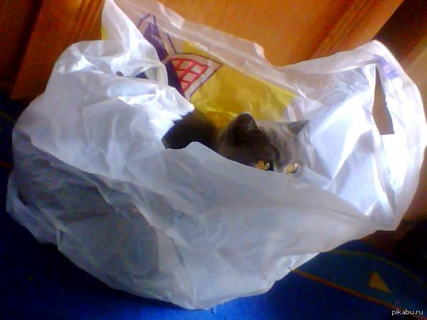 � ����� � �������� �� ������ ������ ������� � ������, ����� ���� ��������� �����? �: