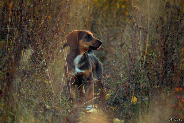 ��� ��� ���� ��� ������������ ������� :)