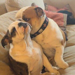   : &quot;   &quot; 