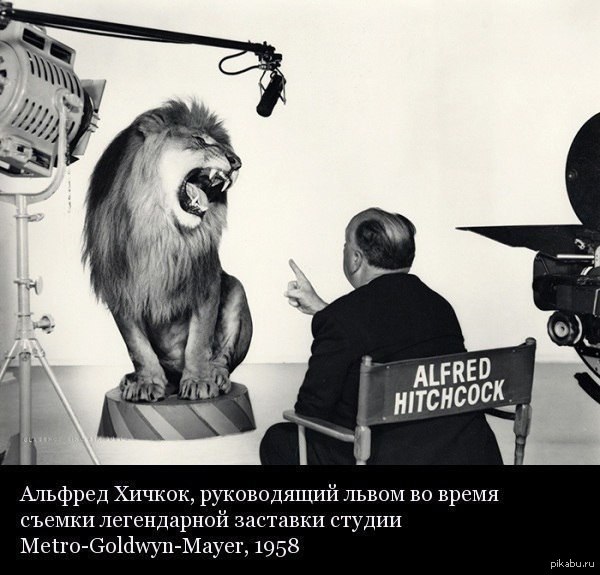 Тот самый лев