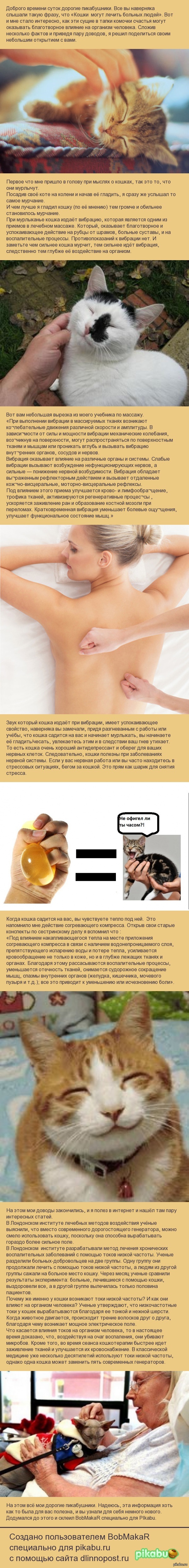 ��� ����� �����.