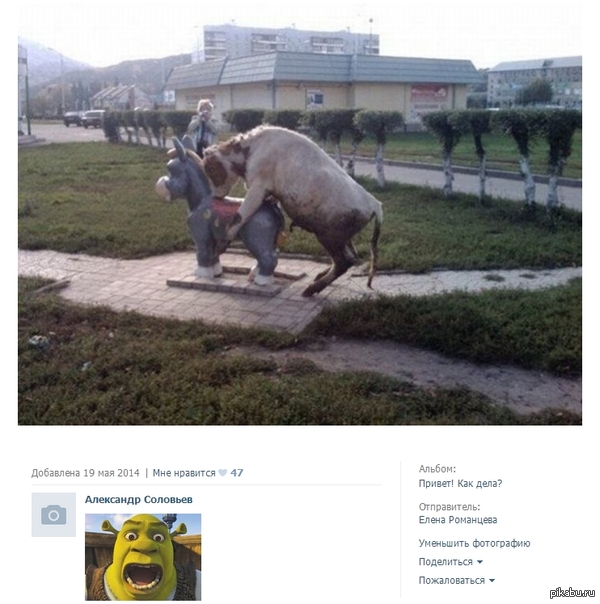 ��� ������ �����������