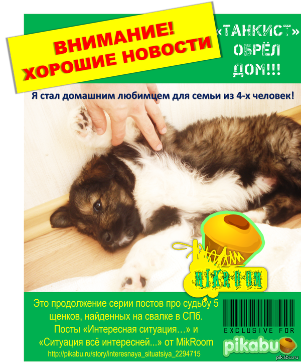 СВЕРШИЛОСЬ!!! Самого спокойного и обаятельного щенка забрали в семью из 4-х человек!