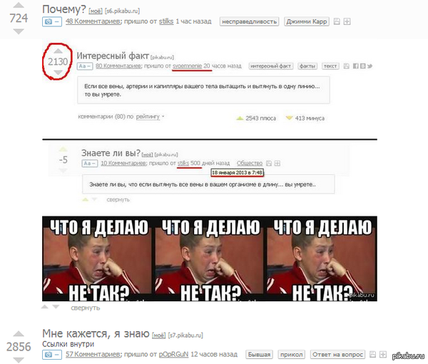 ��� ���������� ��������