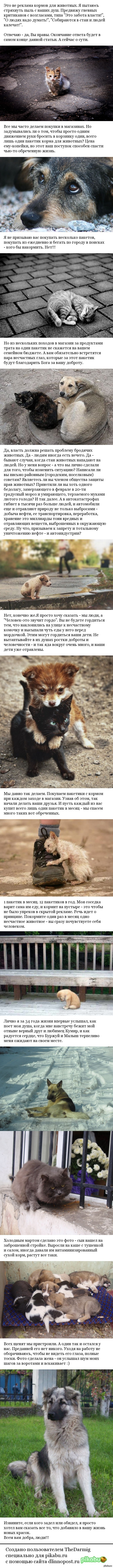 ����� ���� ���� �������