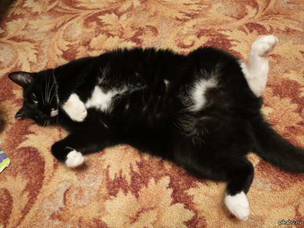 ������ ����������