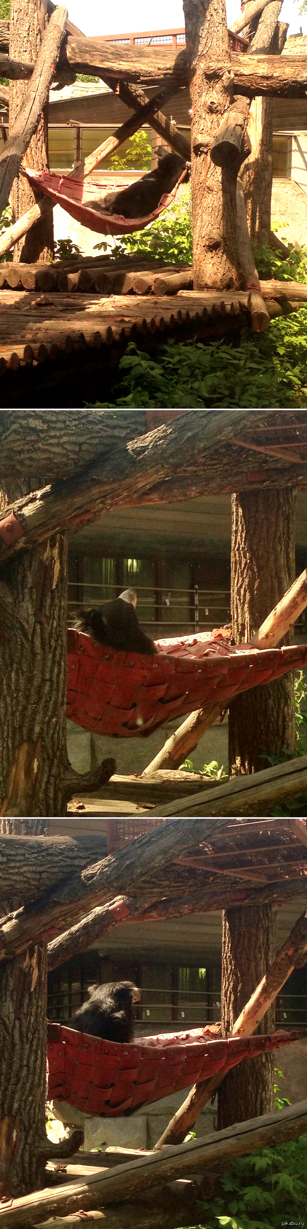 Каждый выживает как может.