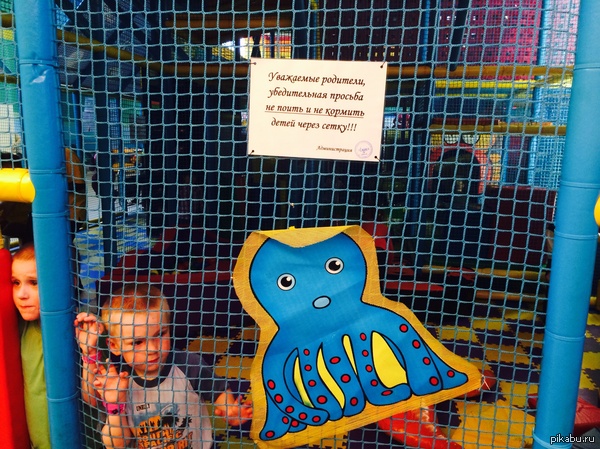 ����� �� �������!