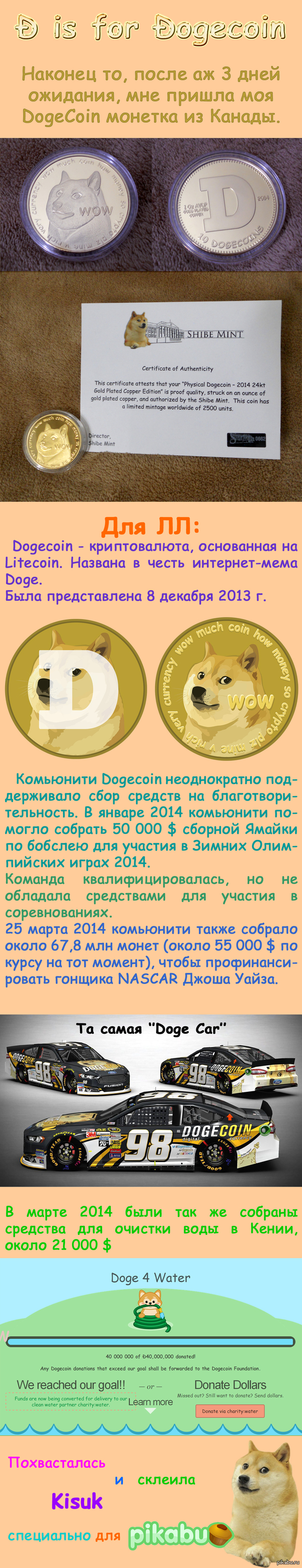 In DOGE we trust