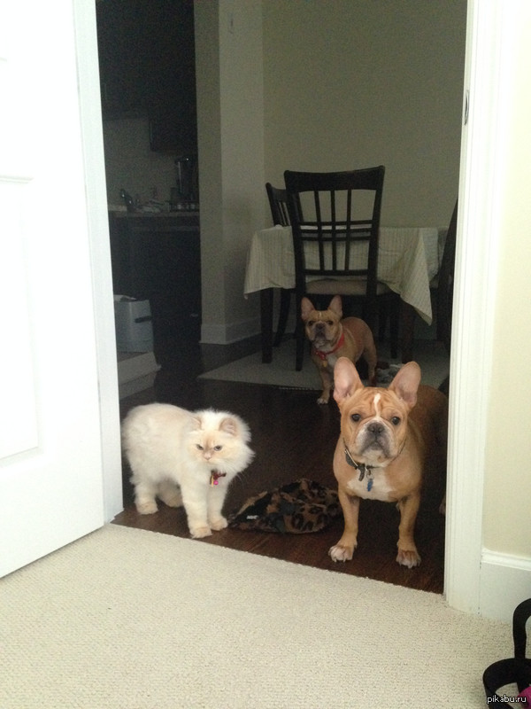 "������� �������� ����� �������� �� ������� � �������... � ����� ������ ����..."