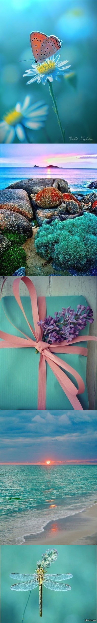 Вдохновение цветом | Пикабу