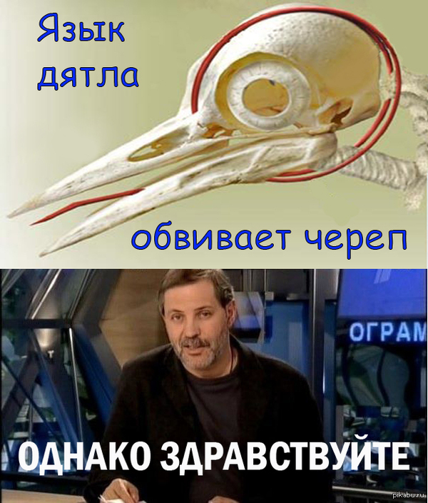 ��� ����� ������ �������������...