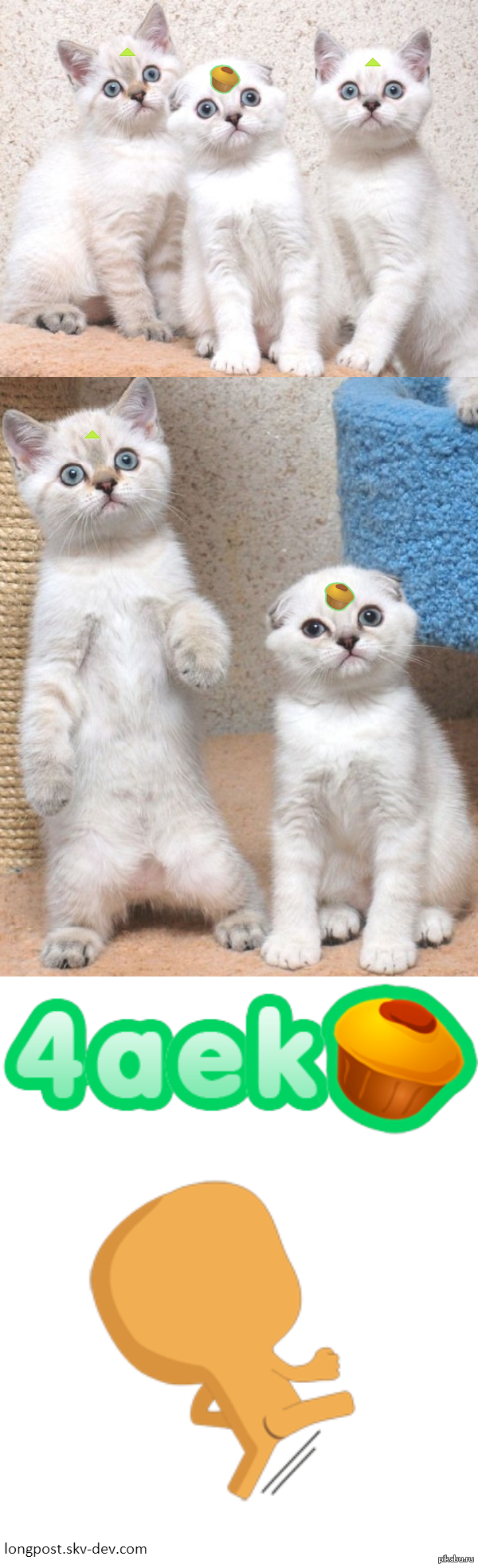 ������ � ���..!