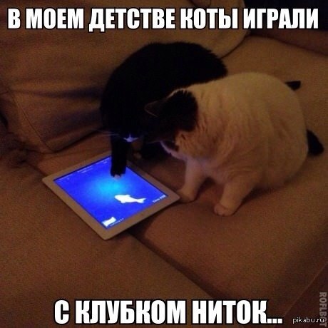 � �������! � �����!