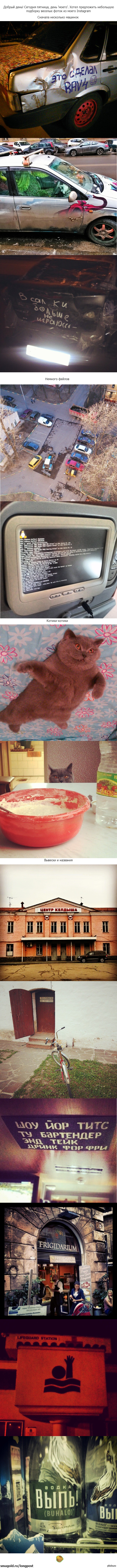 Мой пятничный instagram. Предположительно веселый )
