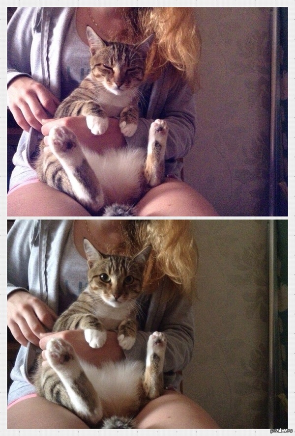 �����, ������� ����� ������ �� �������