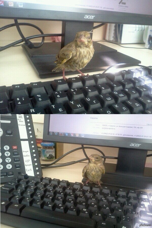 ����� ��������. �������� �������!