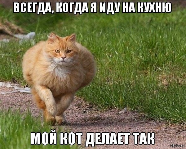 ���� �������)