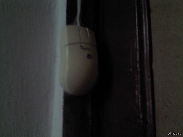  ,         (  ,   ^^).