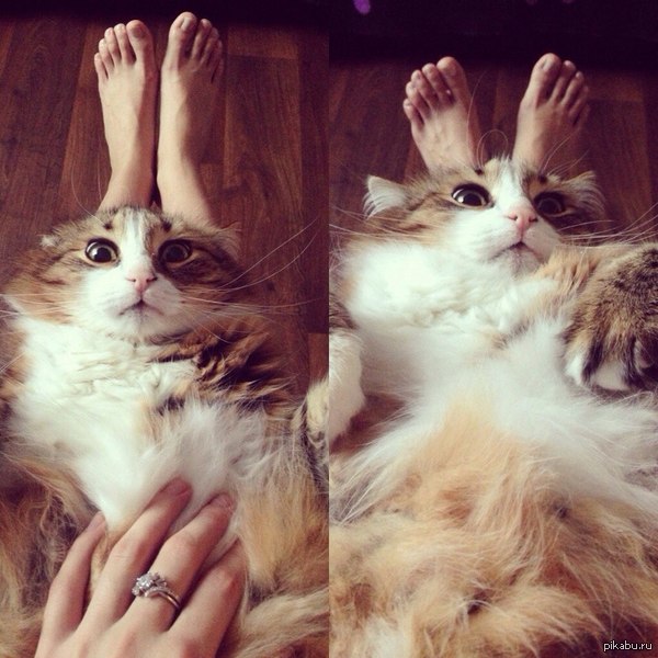 ������ �������!