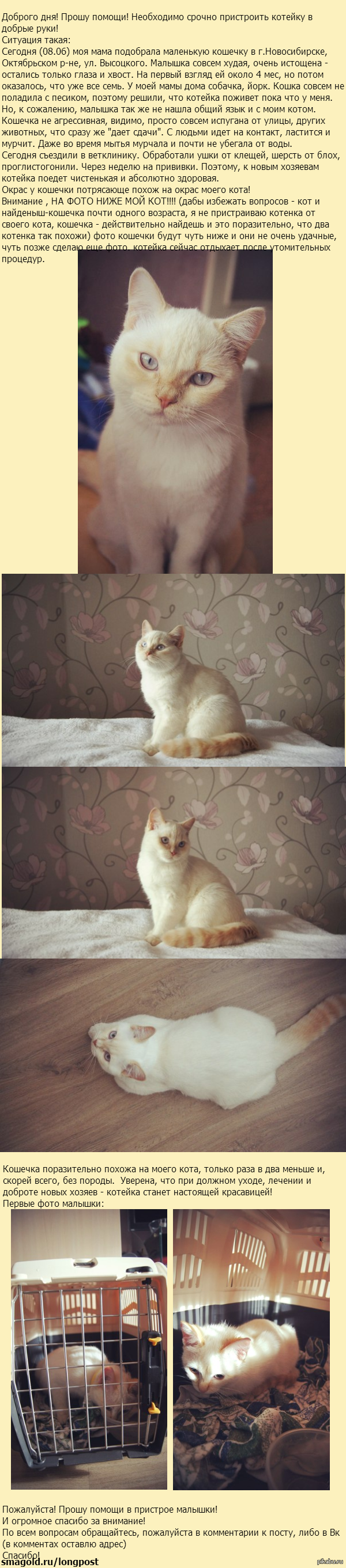 �������� ���������� �������!  �. �����������