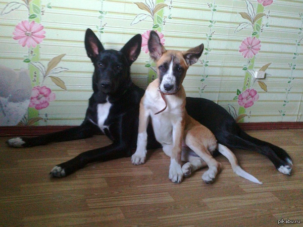 ��� ��������� ����� ����� ���. ������, ������� �� ���������! (http://pikabu.ru/story/_2358263