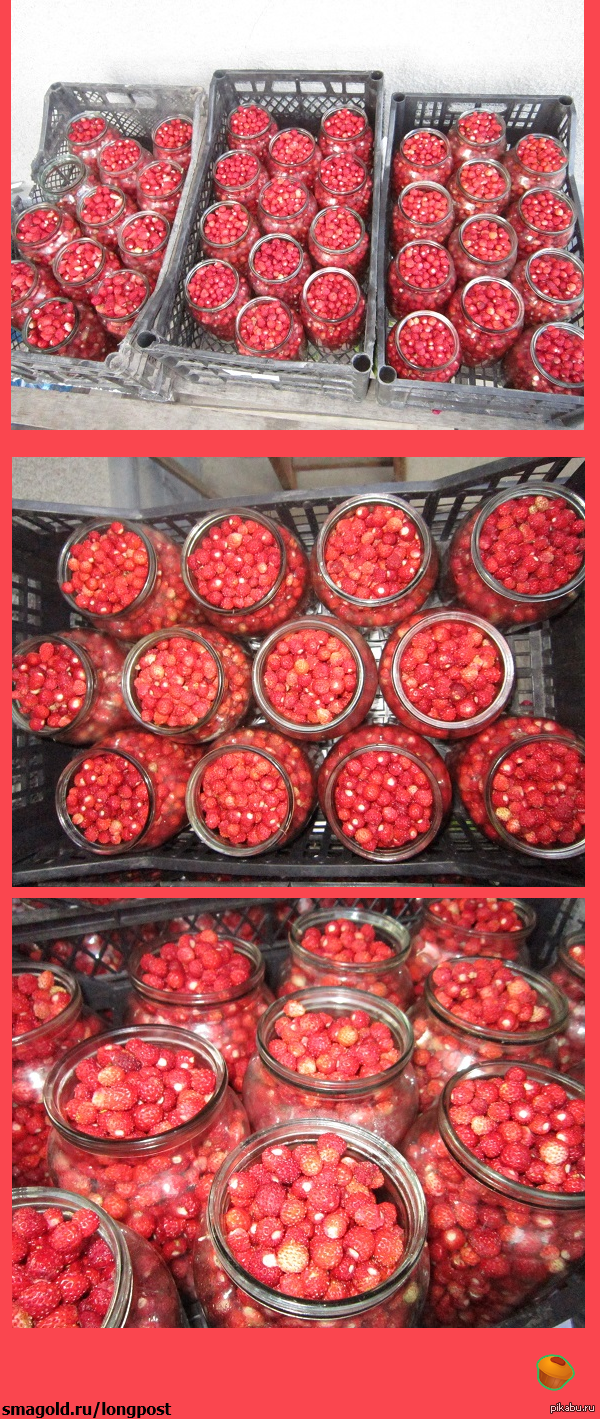 ��� ��� �� ���������, � ��� ���������