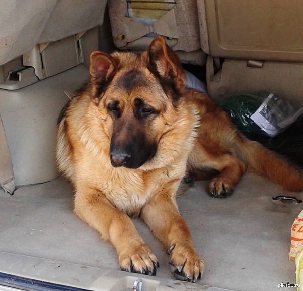 ���� ��� ���� ��������....� � ���� �.�.!)(2)