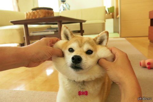   :) 