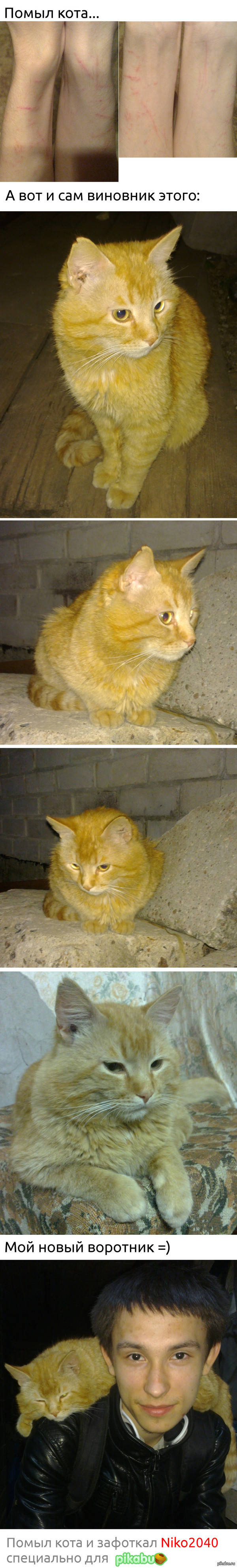 ����� ����...