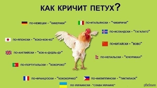 ����� ��������