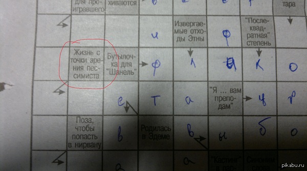 Решал сканворд, а тут...