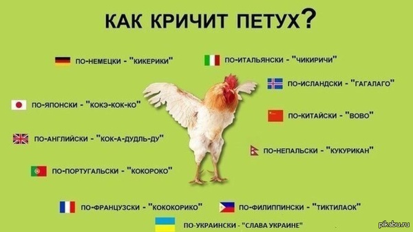 ���������� ������������.