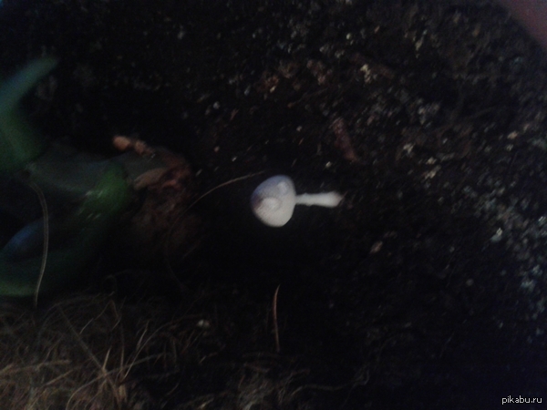 ������ ��