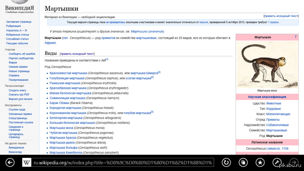 ���� ��������