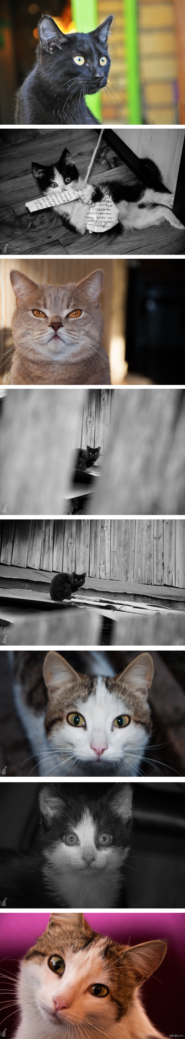 ����� ����